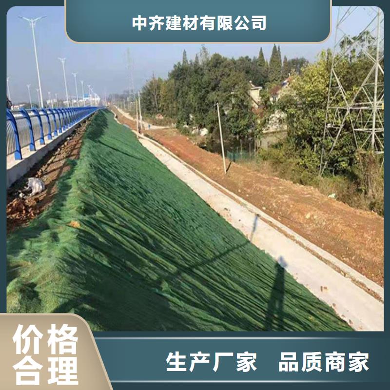 绿化EM5三维护坡植草网