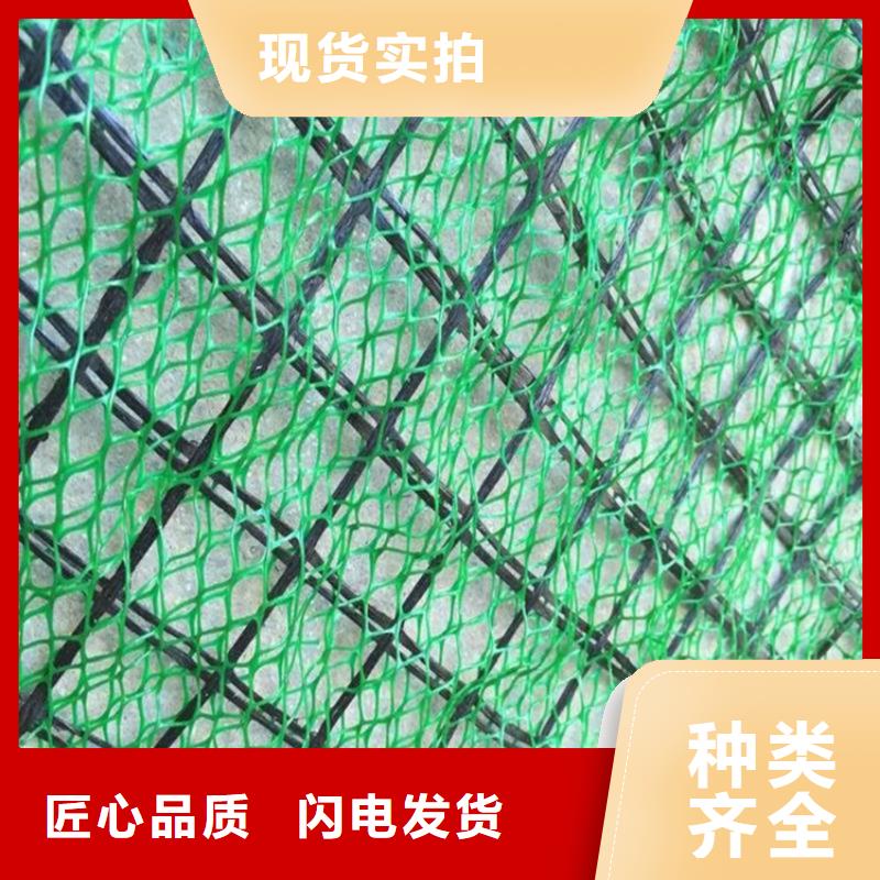 EM5护坡三维土工网垫