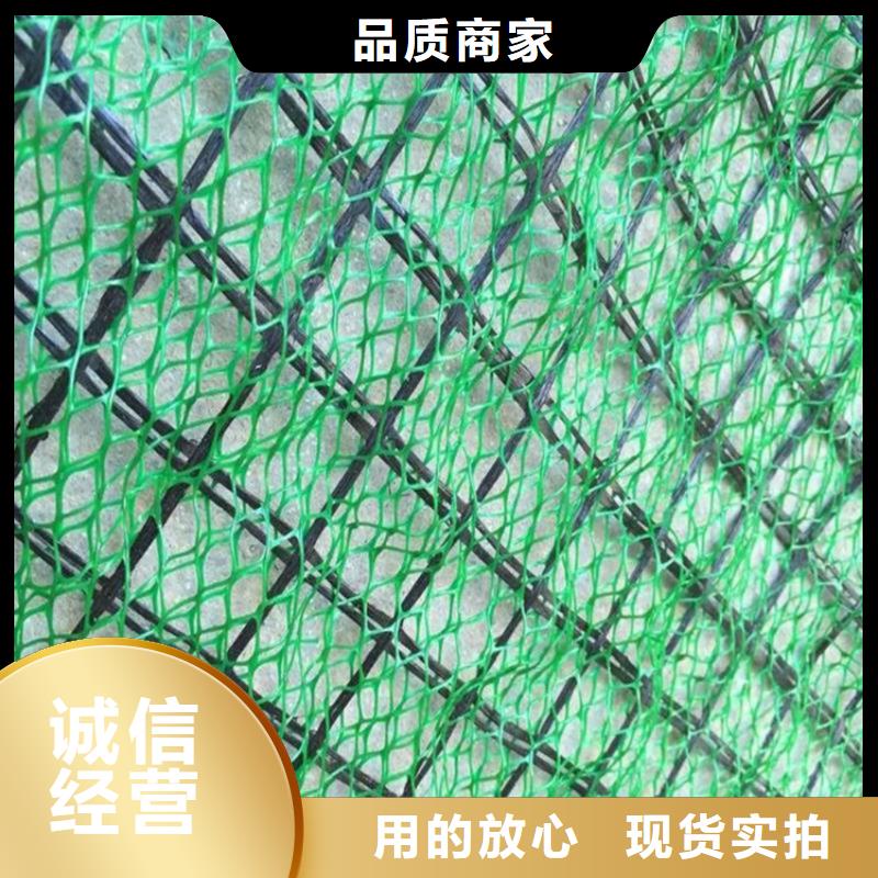 三维植被网土工格室专业信赖厂家