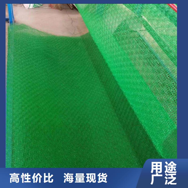 三维植被网双向土工格栅严格把控每一处细节