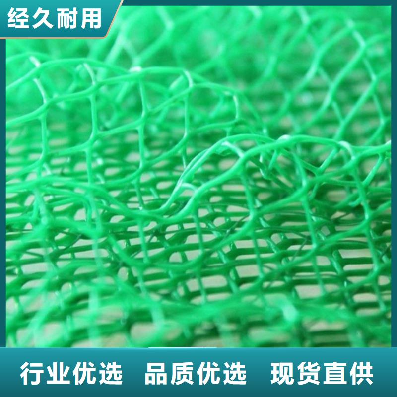 固土EM3三维土工网垫