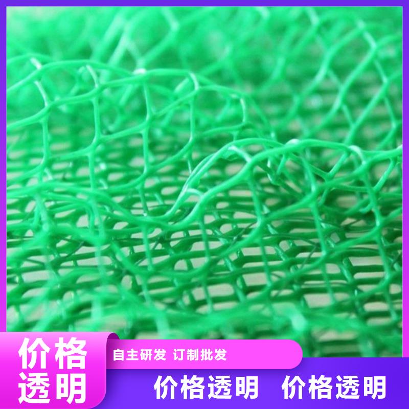 边坡护坡三维固土网垫