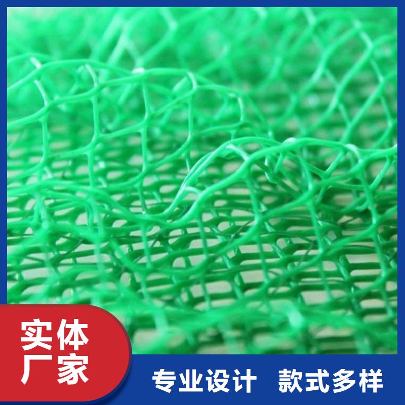 三维植被网防裂贴品牌大厂家
