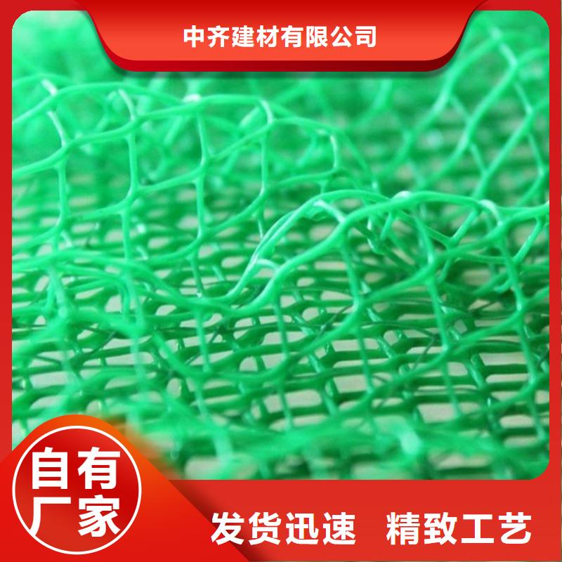 三维固土网垫新闻资讯