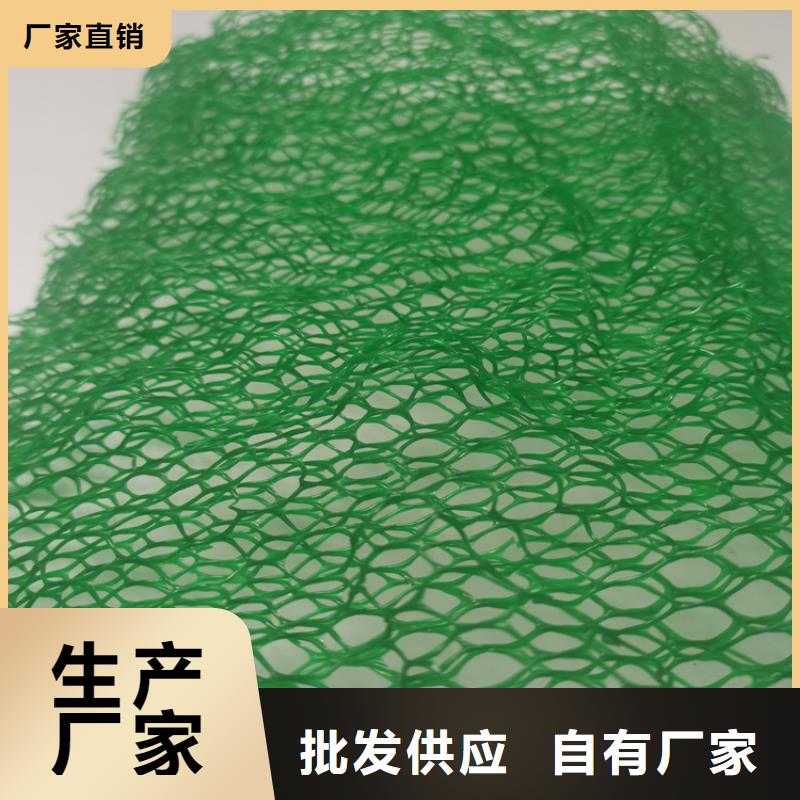 三维植被网源厂直接供货