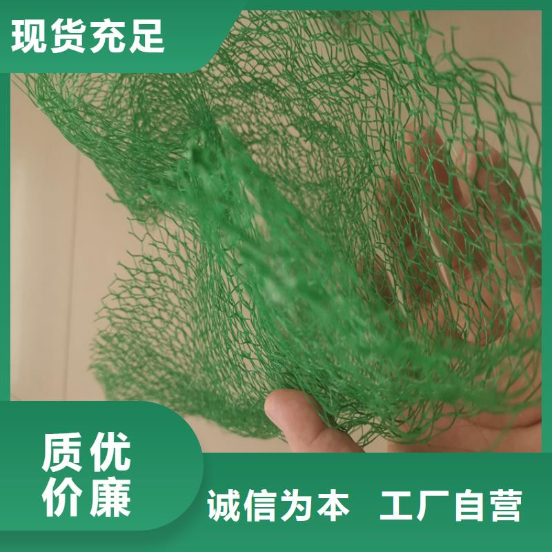 三维植被网_蓄水板应用广泛