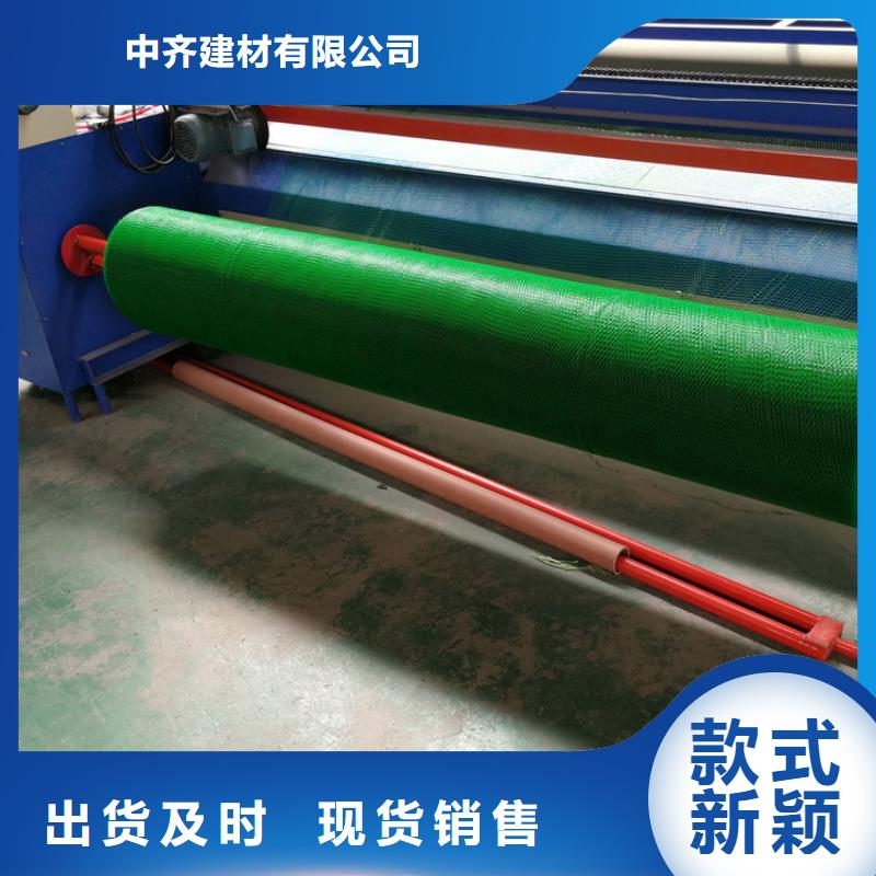 边坡护坡三维固土网垫
