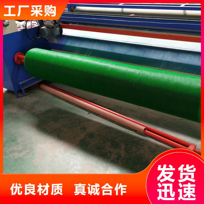三维植被网土工格室专业信赖厂家