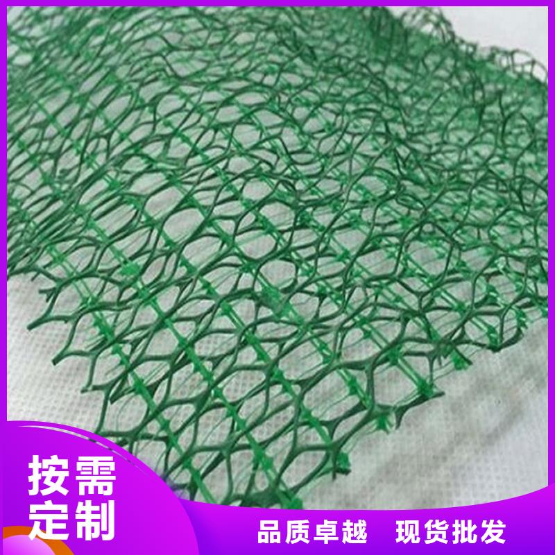 三维植被网源厂直接供货