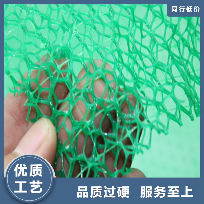三维固土网垫新闻资讯