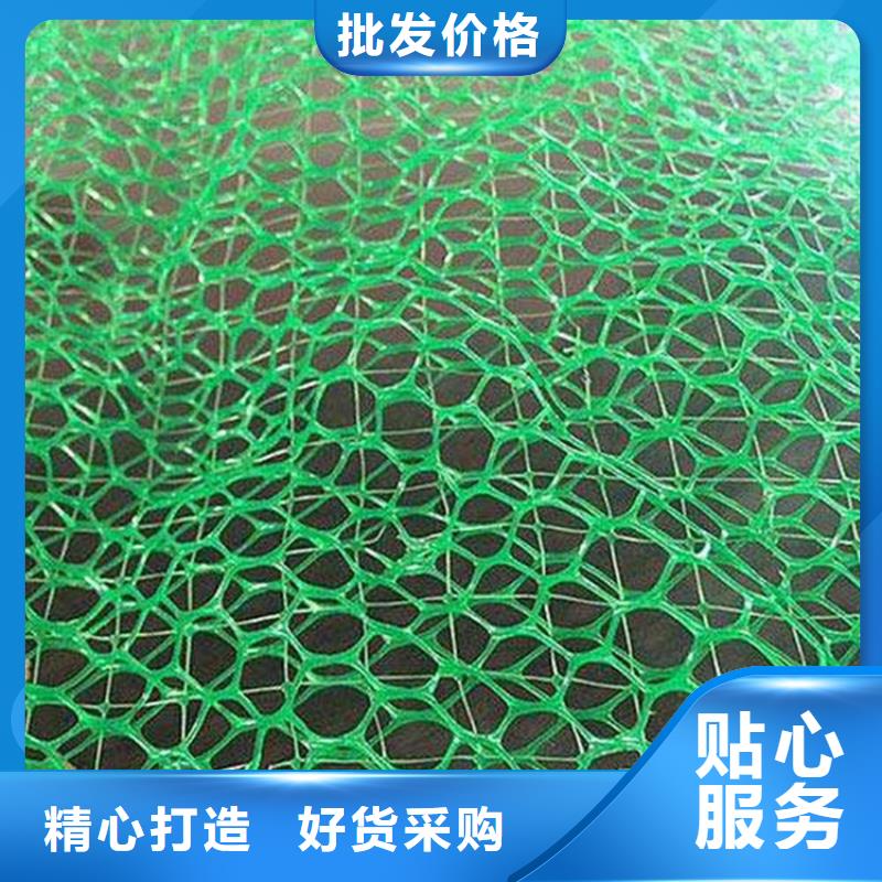 EM3固土三维植被网