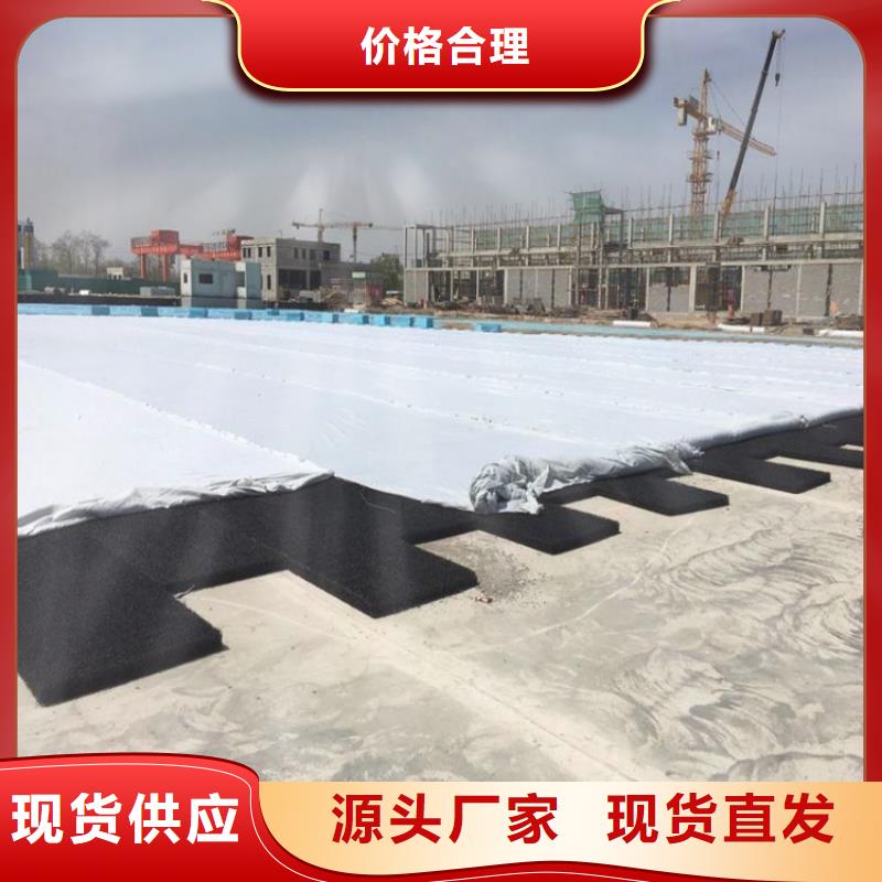 5080高渗排水网垫标准