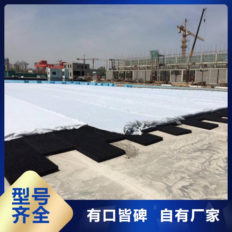 渗排水片材原料区别