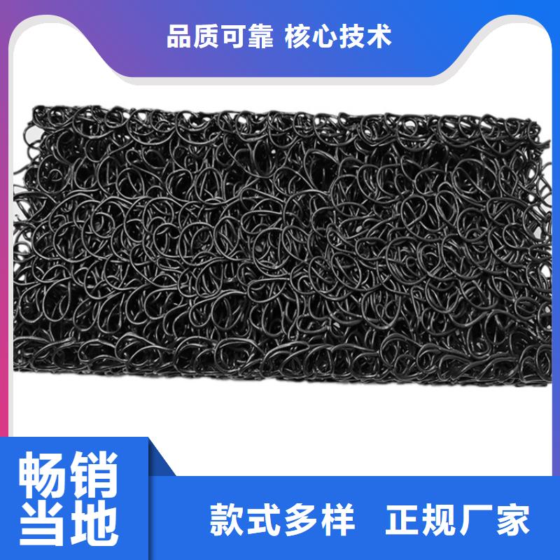 土工席垫三维植被网可零售可批发
