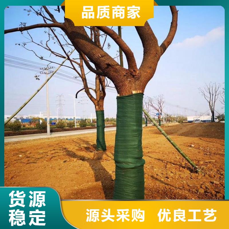 裹树布排水板畅销本地