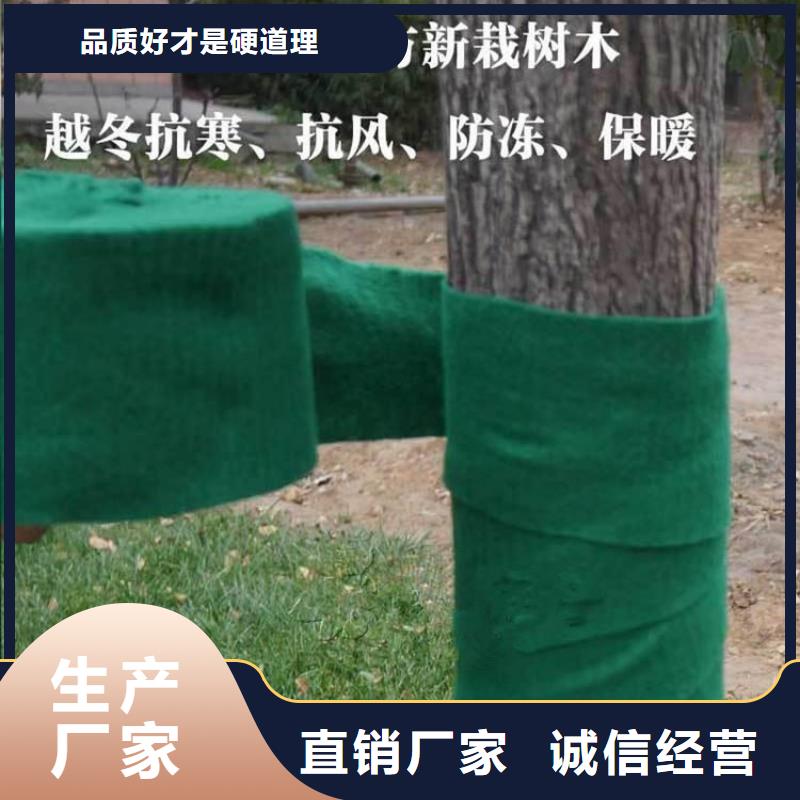 包树布大树包树布
