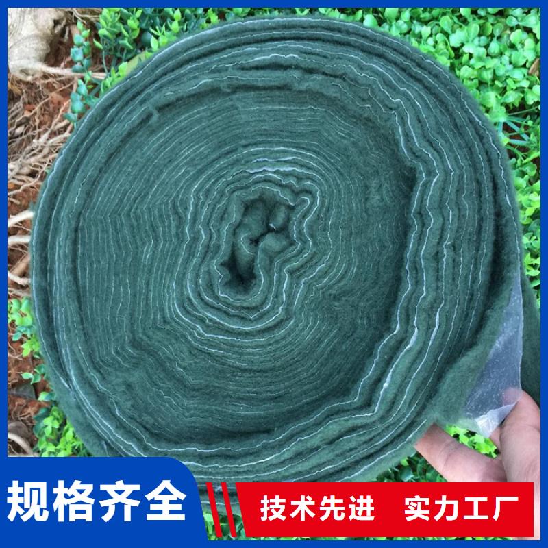 东方市裹树布缠树养护布