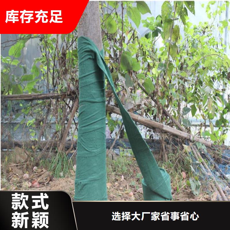大树裹树布大树保湿棉