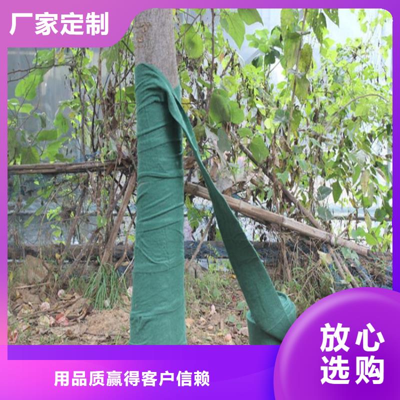 绿色缠树无纺布绿色缠树布