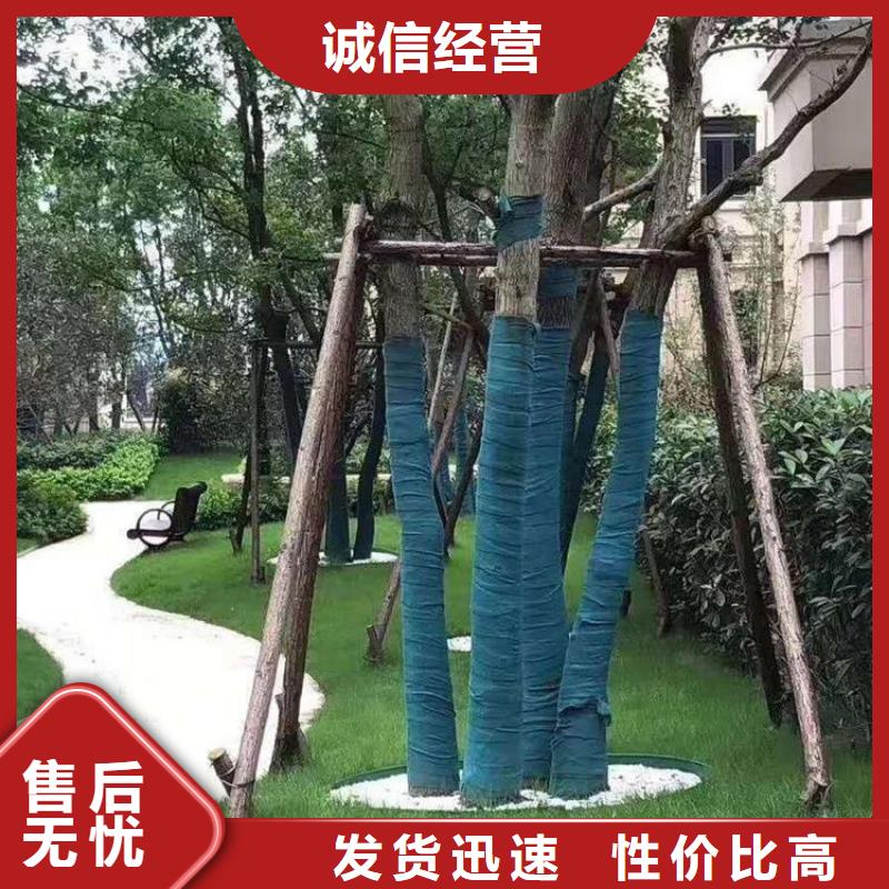 裹树布_防水板支持批发零售