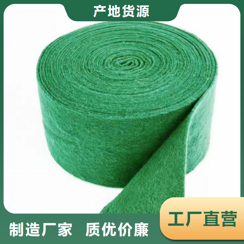 裹树布防渗膜直销厂家