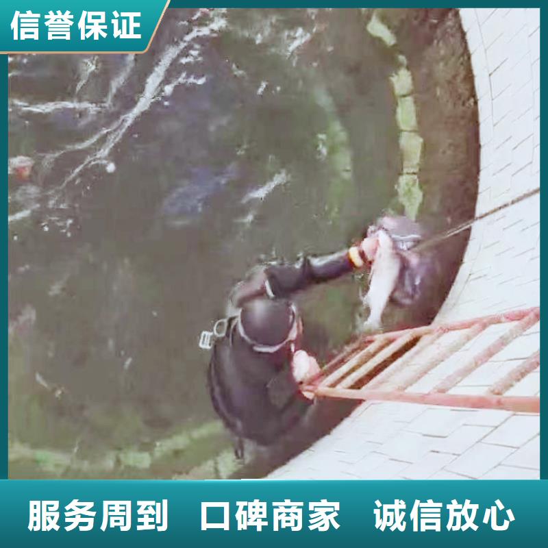 采购水下录像、_认准浪淘沙潜水发展有限公司_值得信赖