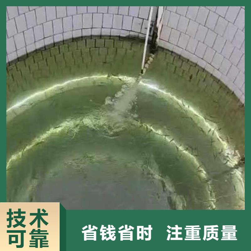 检查井管口封堵一厂家直供一潜水员服务