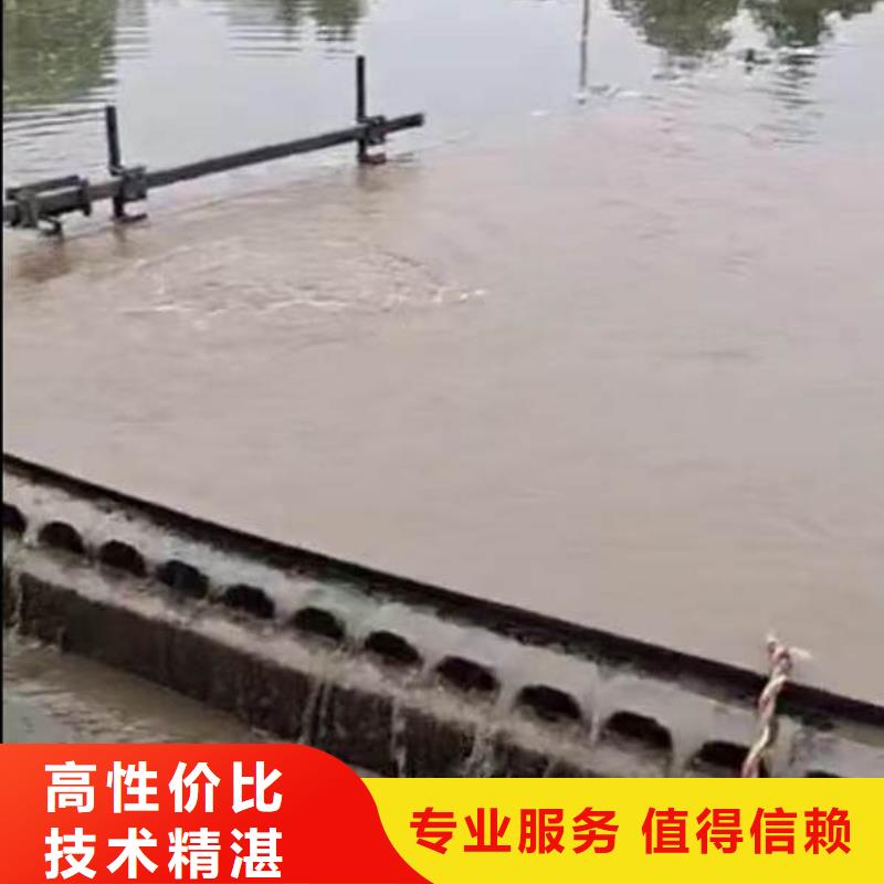 水下施工气囊封堵正规