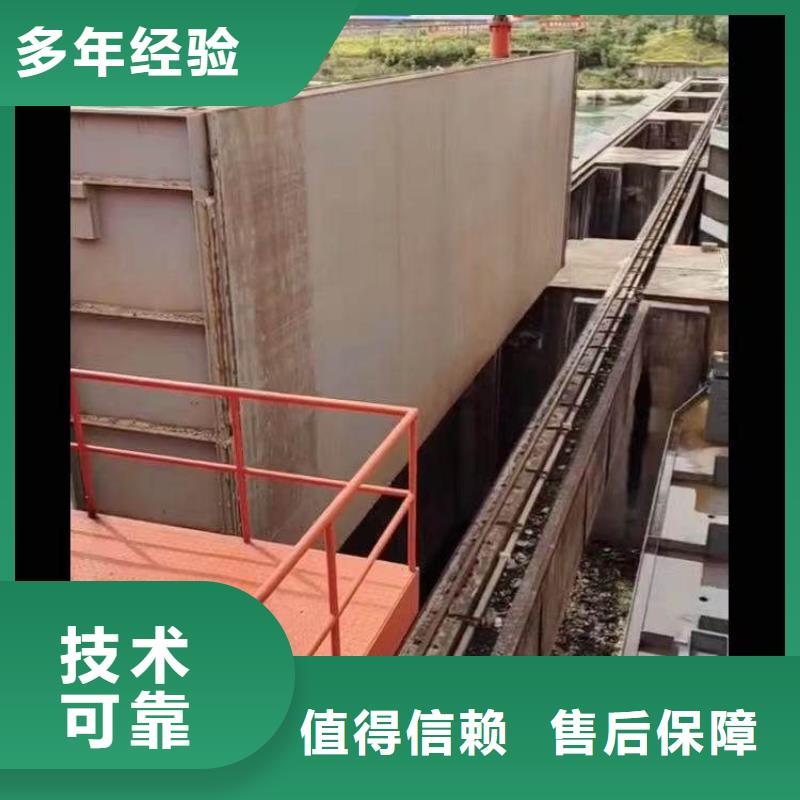 :蓝山水鬼水下施工公司<蓝山本地队伍>-设计