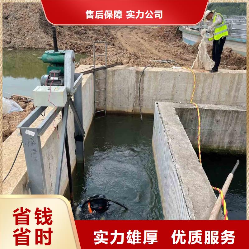 广陵区水下施工公司一广陵区本市蛙人服务