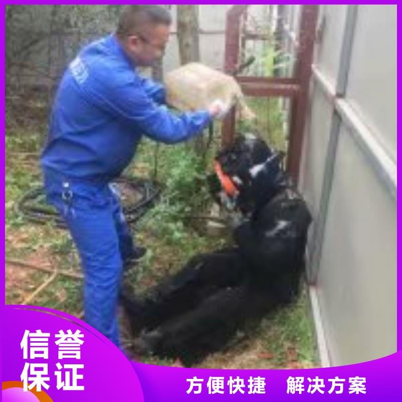 水下工程潜水堵漏专业承接