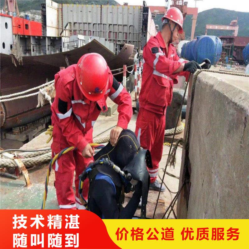 拦污栅水中维修多年老厂