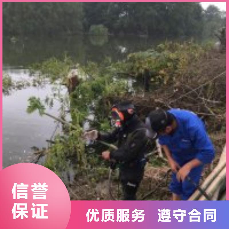 潜水员水里拍照行业动态