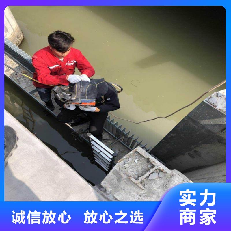 【水下维修】,堤防工程施工品质服务