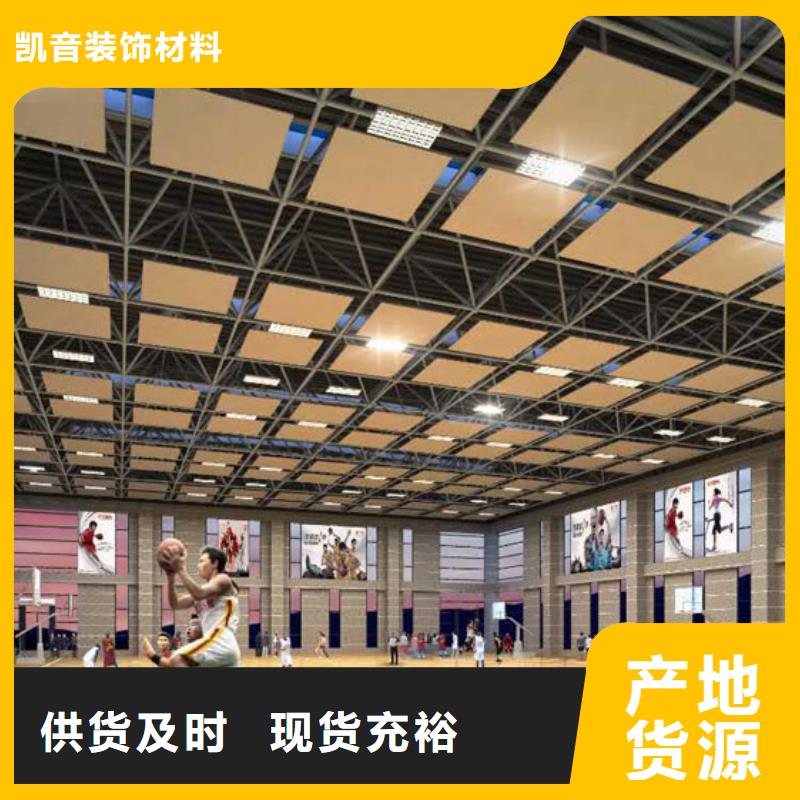 黑龙江省一站式采购商家[凯音]富裕县大型体育馆声学改造公司--2024最近方案/价格