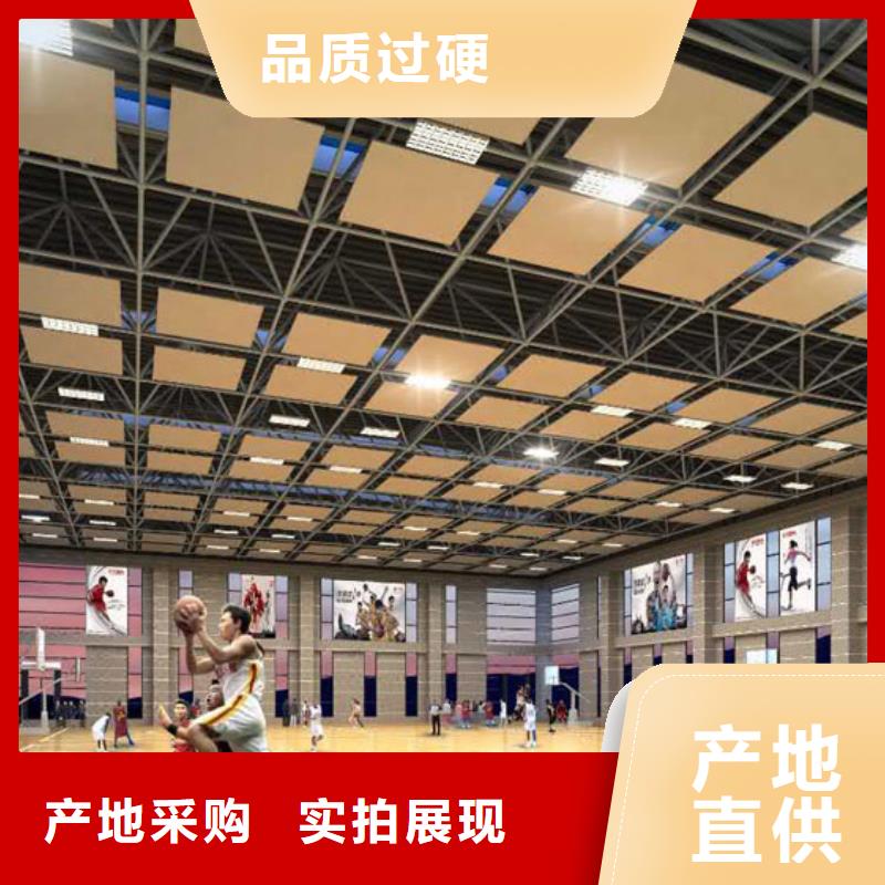 广东省中山市南朗镇专业体育馆吸音改造方案--2024最近方案/价格