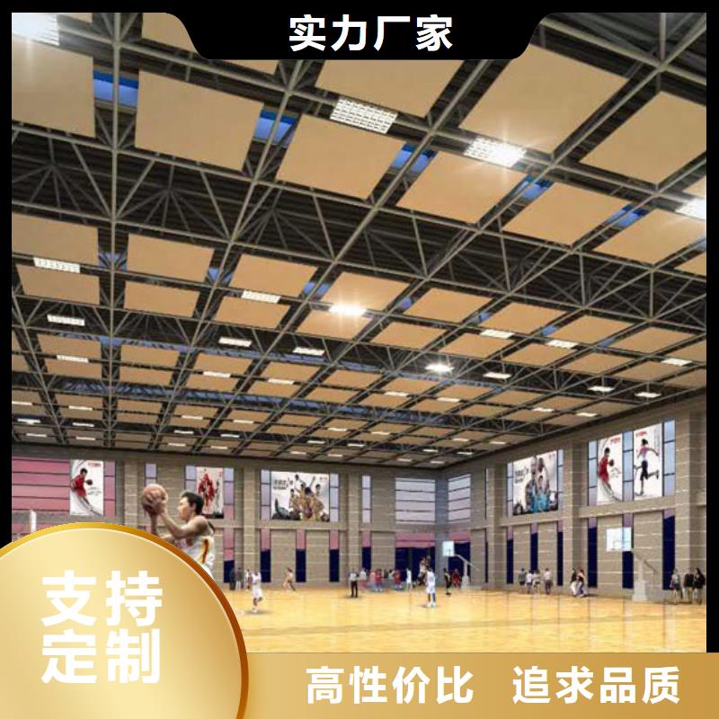 陕西省优选<凯音>城固县公司体育馆吸音改造价格--2024最近方案/价格