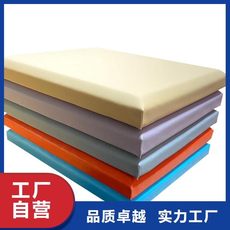 百色特审室防撞吸音板软包