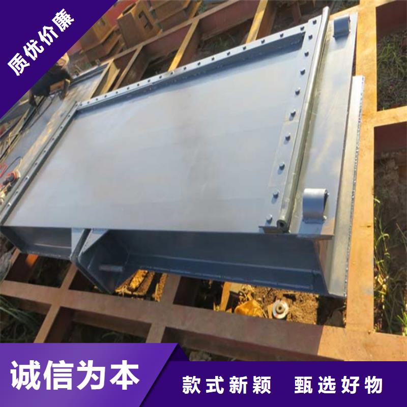 采购平板钢闸门认准海腾水工机械厂