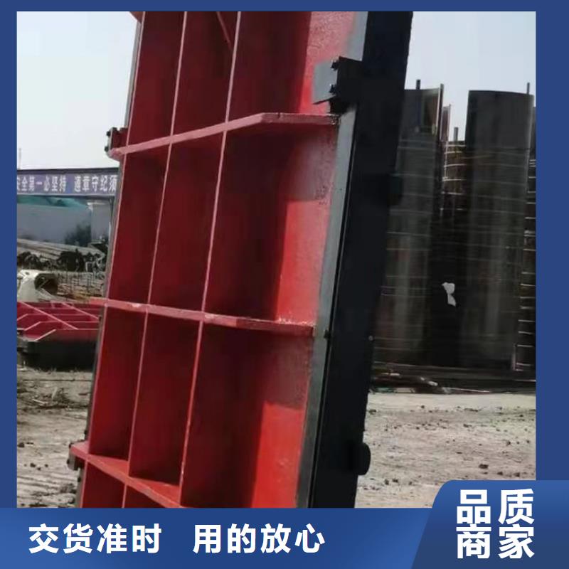 泵站铸铁闸门生产