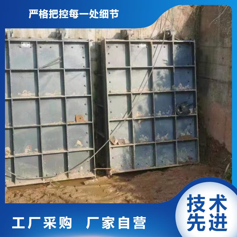 铸铁方闸门价格