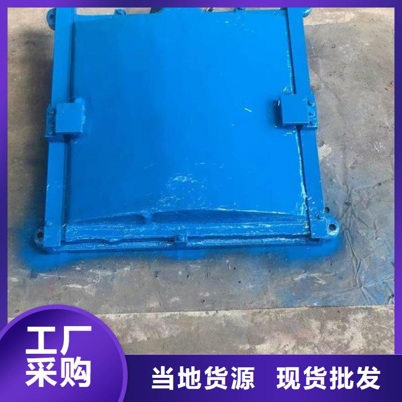 铸铁方闸门价格