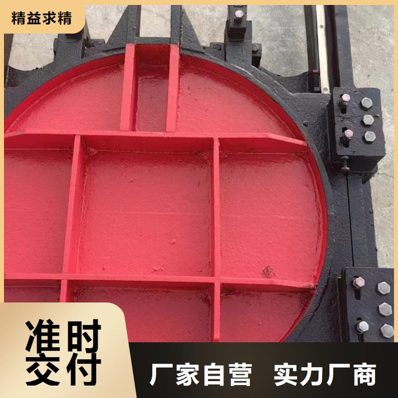 铸铁方闸门价格