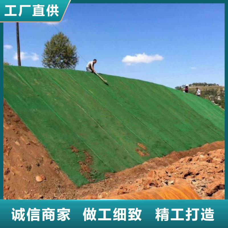 【三维植被网抗裂纤维严格把控质量】