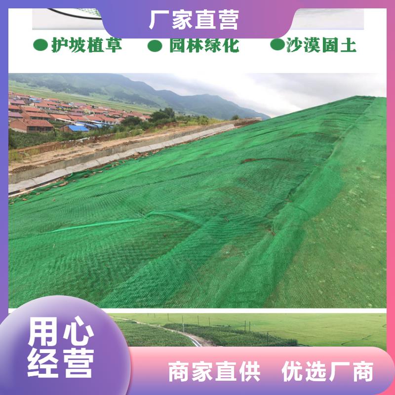 三维植被网铜止水自产自销