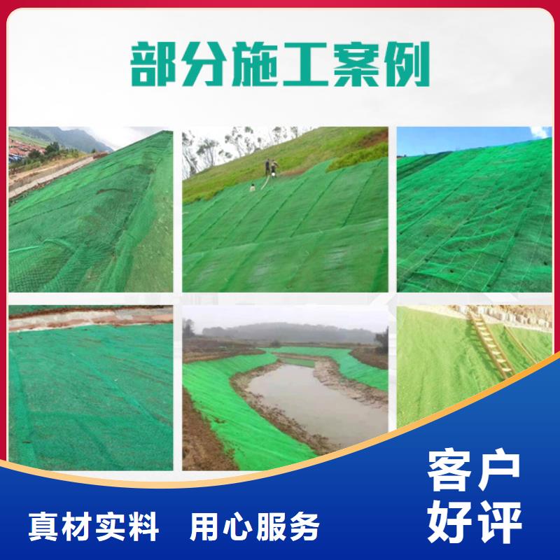 【三维植被网抗裂纤维严格把控质量】