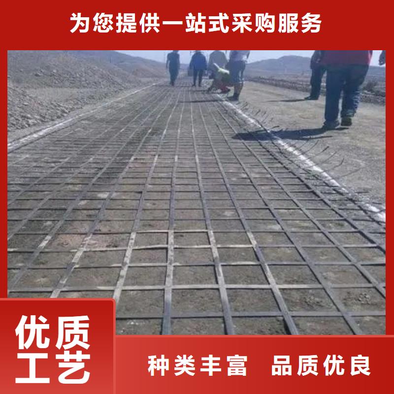 土工格栅图片直销价格价格