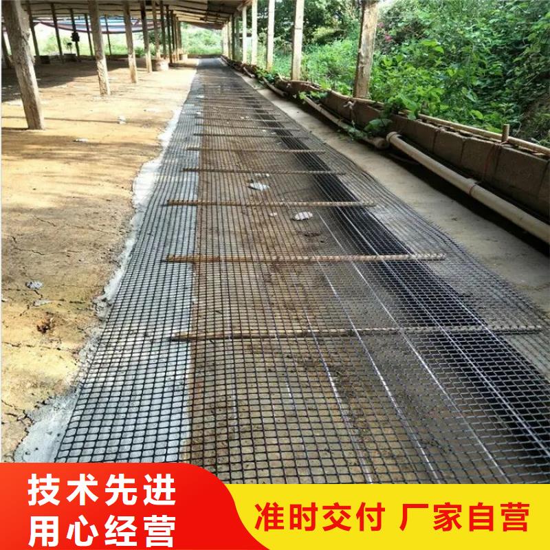 实力雄厚的土工格栅型号规格厂家
