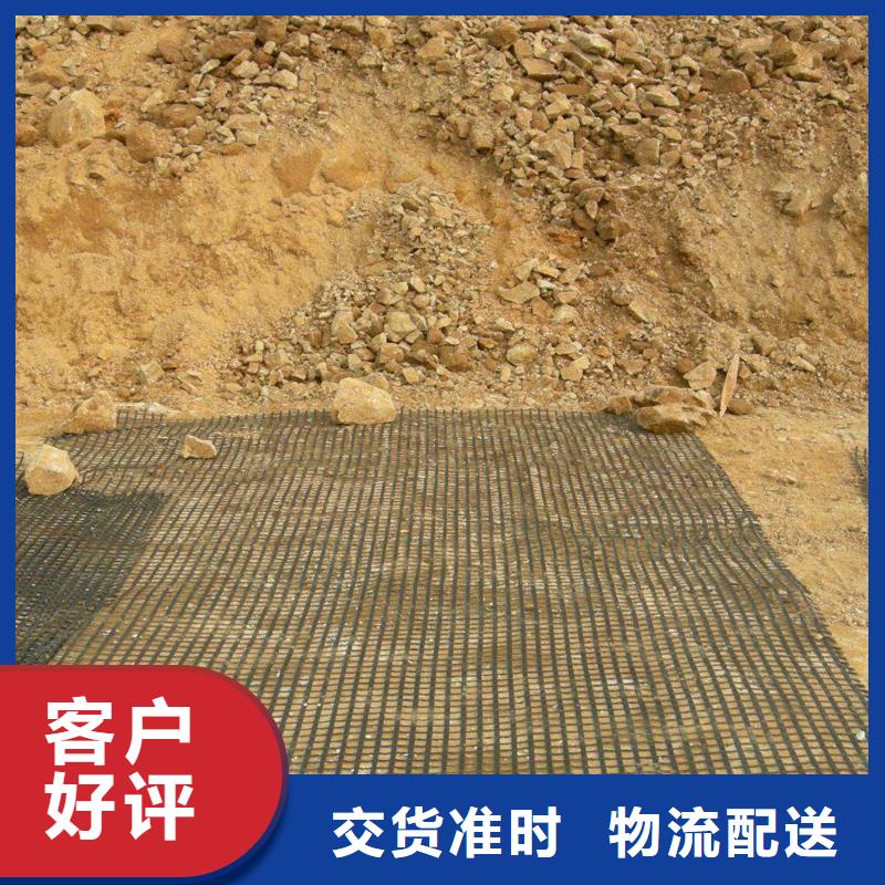 土工格栅图片直销价格价格