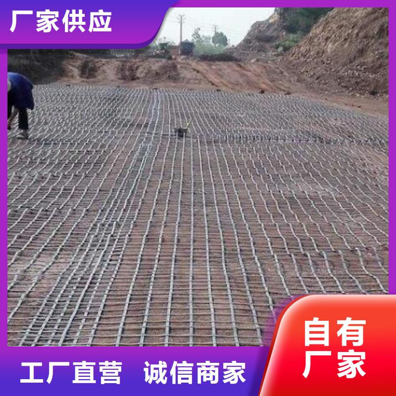 【土工格栅】,塑料盲管好产品价格低